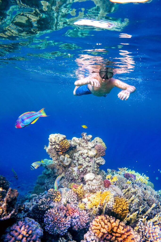 Passeios no Mar Vermelho